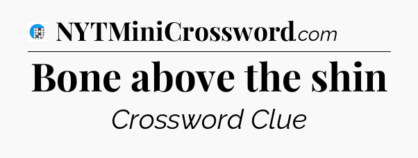 Bone above the shin Crossword Clue