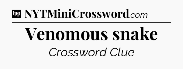 Venomous snake Crossword Clue