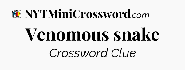 Venomous snake Crossword Clue