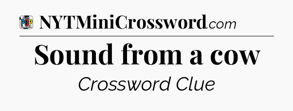 Sound from a cow Crossword Clue