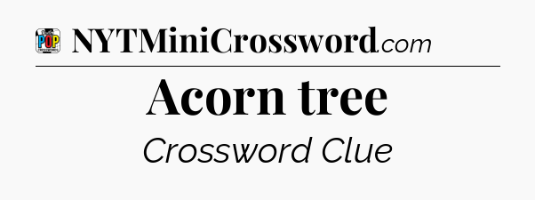 Acorn tree Crossword Clue