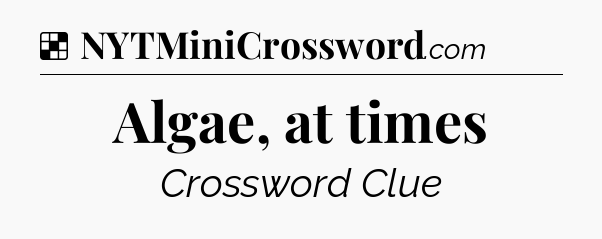 Solution: Algae, at times - NYT Crossword