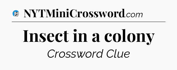 Insect in a colony Crossword Clue