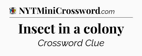 Insect in a colony Crossword Clue