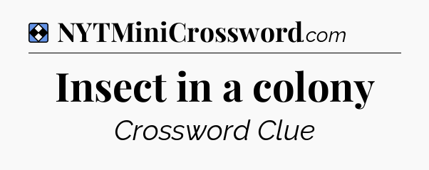 Solution: Insect in a colony - NYT Mini Crossword