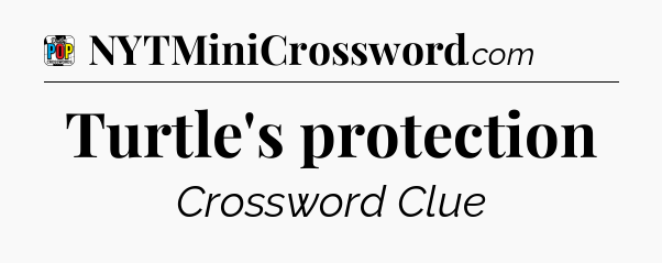 Turtle's protection Crossword Clue