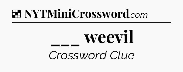 Solution: ___ weevil - NYT Crossword