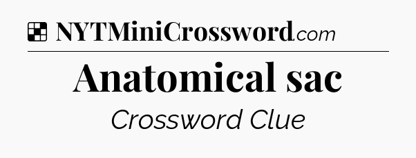 Solution: Anatomical sac - NYT Crossword