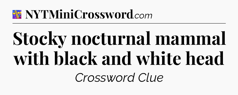 Stocky nocturnal mammal with black and white head Codycross