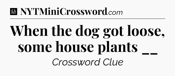 When the dog got loose, some house plants __ - LA Times Crossword