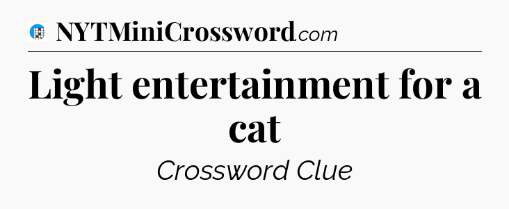 Light entertainment for a cat Crossword Clue