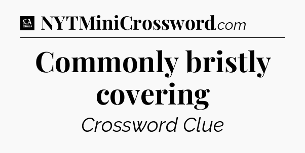 Commonly bristly covering - LA Times Crossword