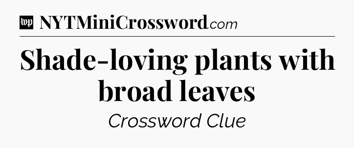 Shade-loving plants with broad leaves Crossword Clue
