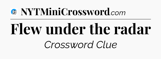 Flew under the radar Crossword Clue