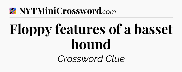 Floppy features of a basset hound Crossword Clue