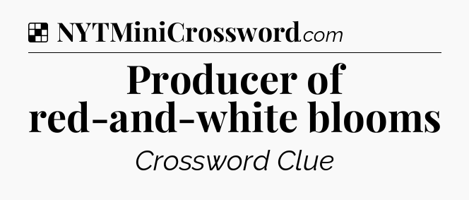 Solution: Producer of red-and-white blooms - NYT Crossword
