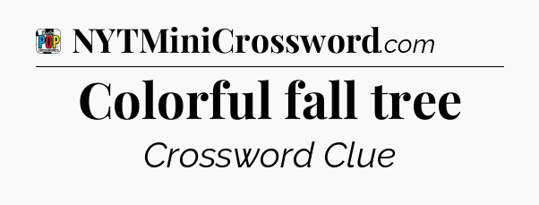Colorful fall tree Crossword Clue