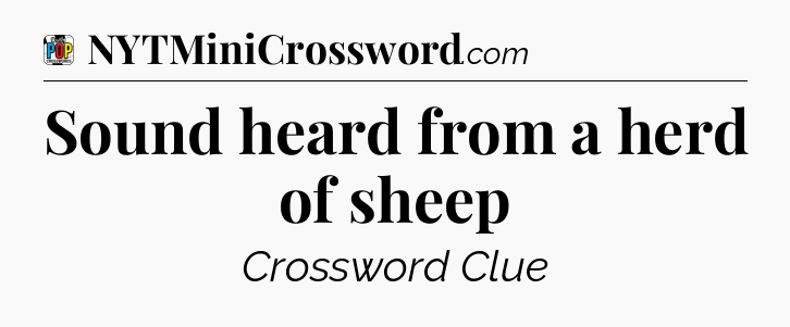 Sound heard from a herd of sheep Crossword Clue