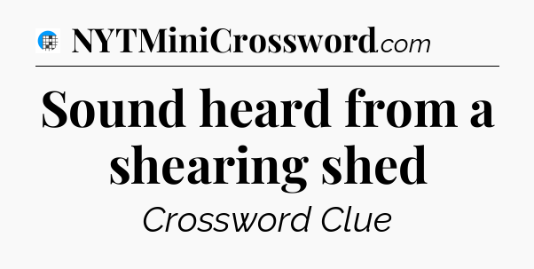 Sound heard from a shearing shed Crossword Clue