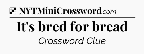 Solution: It's bred for bread - NYT Crossword