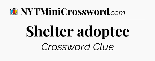 Shelter adoptee Crossword Clue