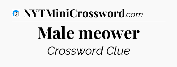 Male meower Crossword Clue
