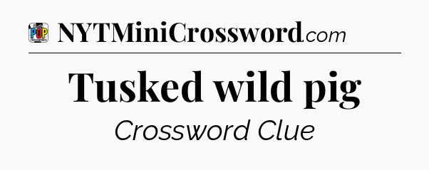 Tusked wild pig Crossword Clue