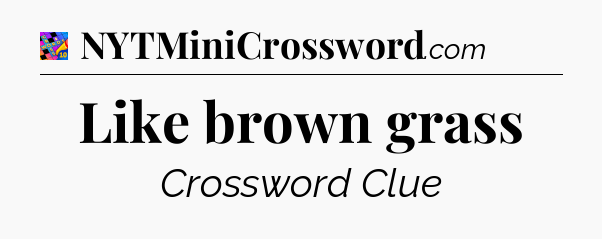 Like brown grass Crossword Clue