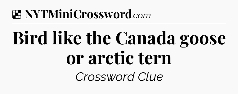 Solution: Bird like the Canada goose or arctic tern - NYT Crossword