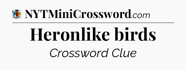 Heronlike birds Crossword Clue