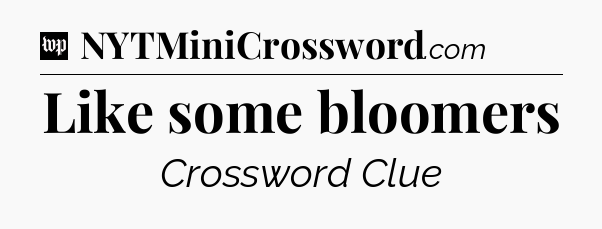 Like some bloomers Crossword Clue