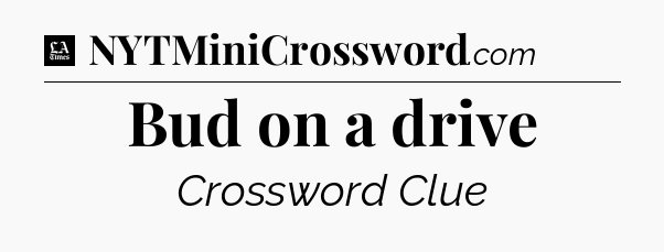 Bud on a drive - LA Times Crossword