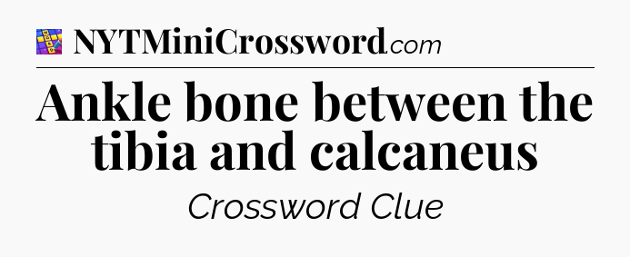 Ankle bone between the tibia and calcaneus Codycross