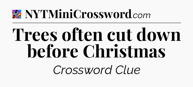 Trees often cut down before Christmas Crossword Clue