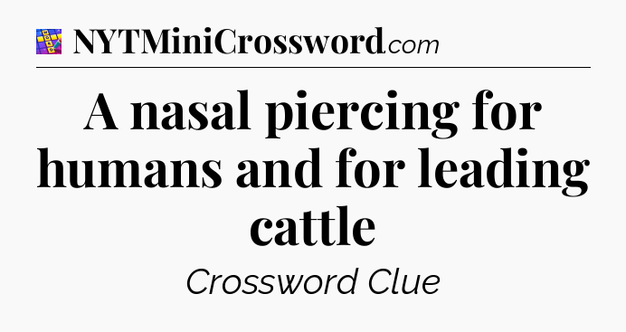 A nasal piercing for humans and for leading cattle Codycross