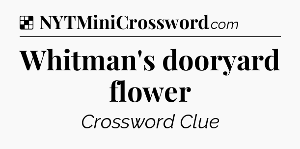 Solution: Whitman's dooryard flower - NYT Crossword