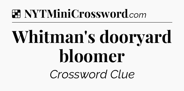 Solution: Whitman's dooryard bloomer - NYT Crossword