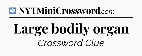 Large bodily organ Puzzle Page Crossword Clue