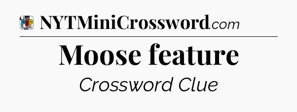 Moose feature Crossword Clue