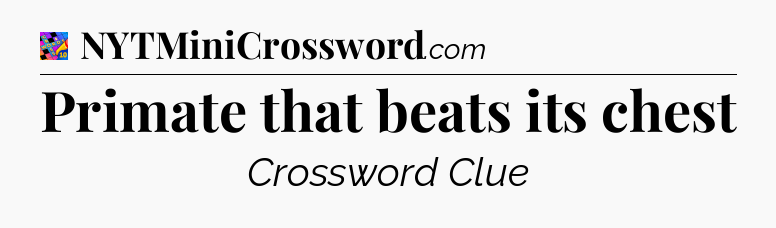 Primate that beats its chest Crossword Clue
