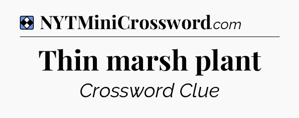Solution: Thin marsh plant - NYT Mini Crossword