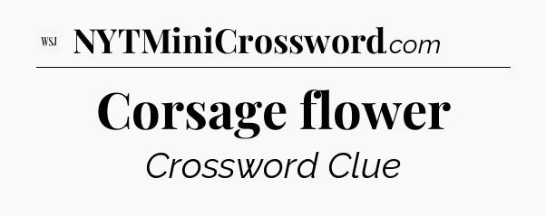 Corsage flower - WSJ Crossword