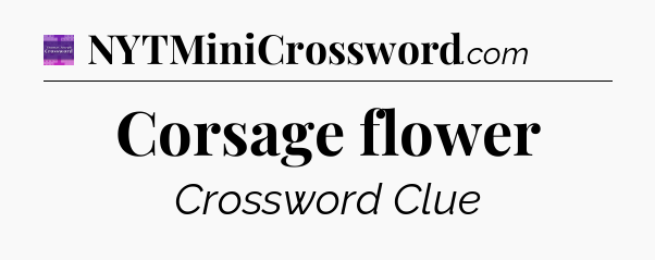 Corsage flower - Thomas Joseph Crossword