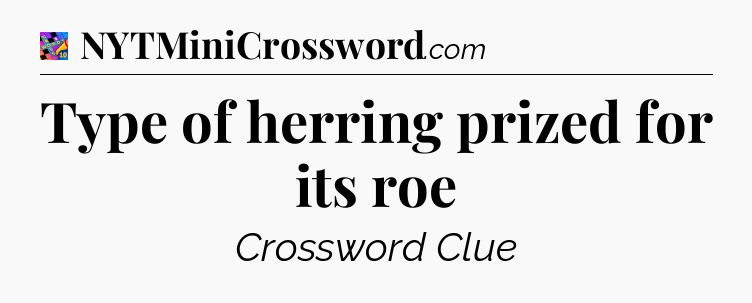 Type of herring prized for its roe Crossword Clue