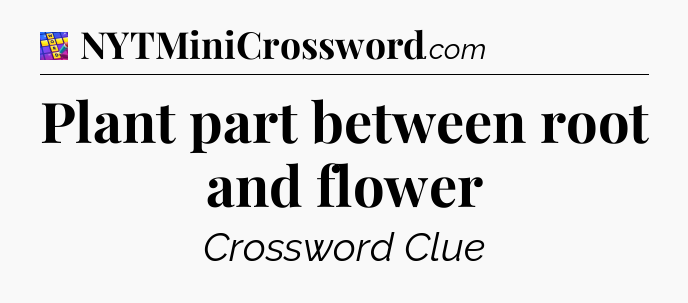 Plant part between root and flower Codycross