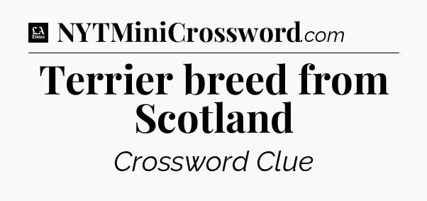 Terrier breed from Scotland - LA Times Crossword