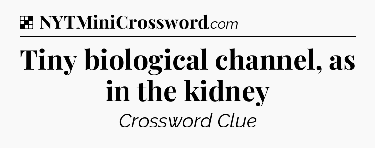 Solution: Tiny biological channel, as in the kidney - NYT Crossword