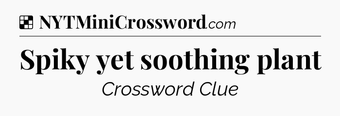 Solution: Spiky yet soothing plant - NYT Crossword