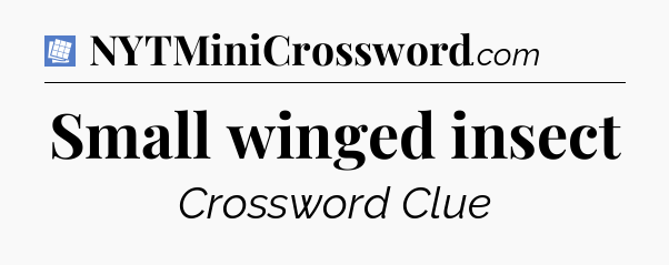Small winged insect Puzzle Page Crossword Clue