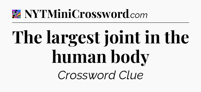 The largest joint in the human body Crossword Clue